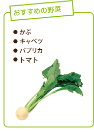 おすすめの野菜