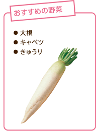 おすすめの野菜